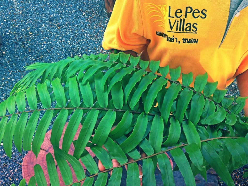 Le Pes Villas Ханом Экстерьер фото
